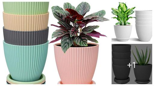 Fabulous Plant Bowls